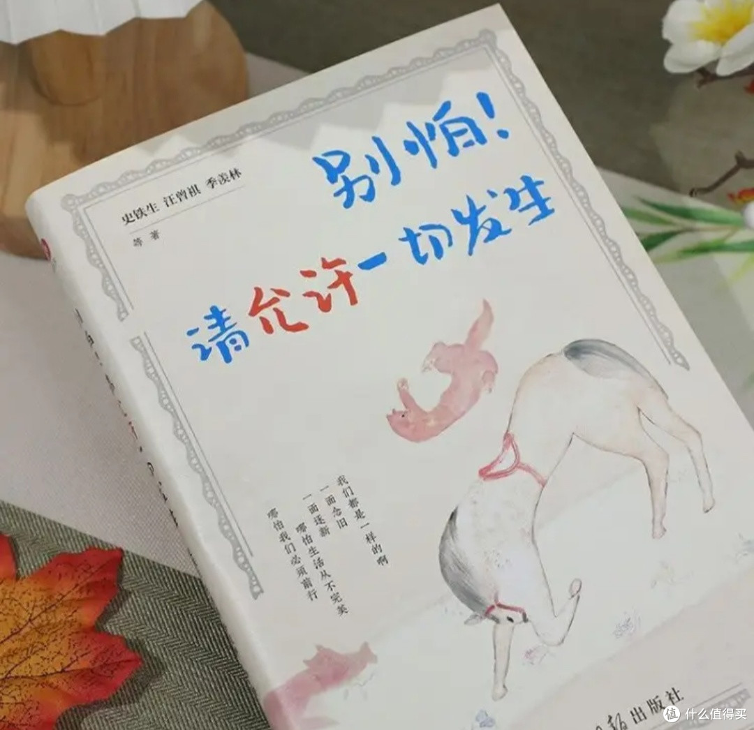 于文字中释怀,在书香里从容