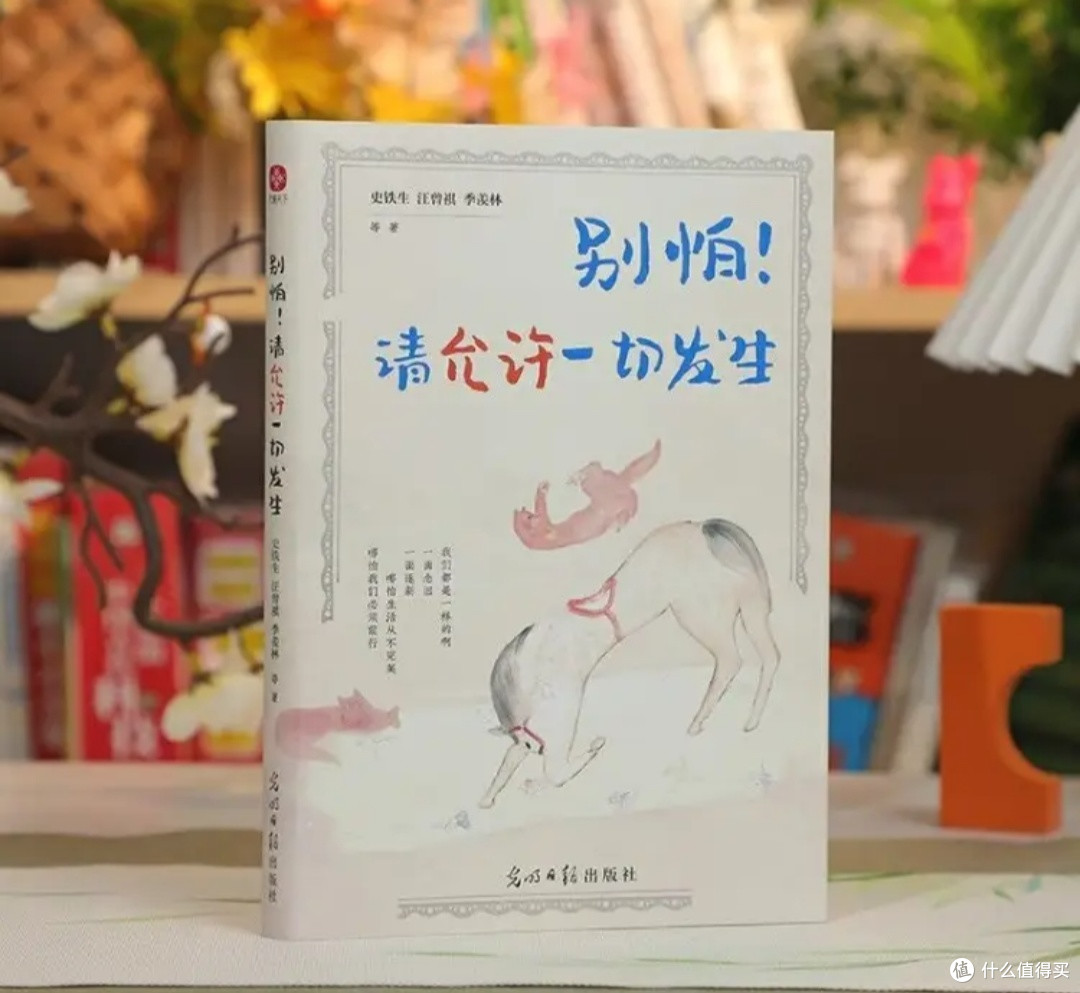 于文字中释怀，在书香里从容