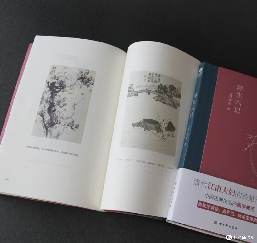时光的温柔：在《浮生六记》中寻回生活的诗意！