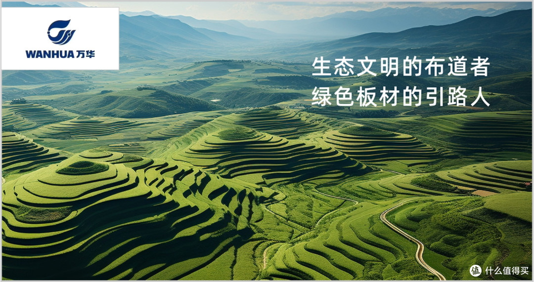 生态板如何选？2025年生态板行业十大环保品牌