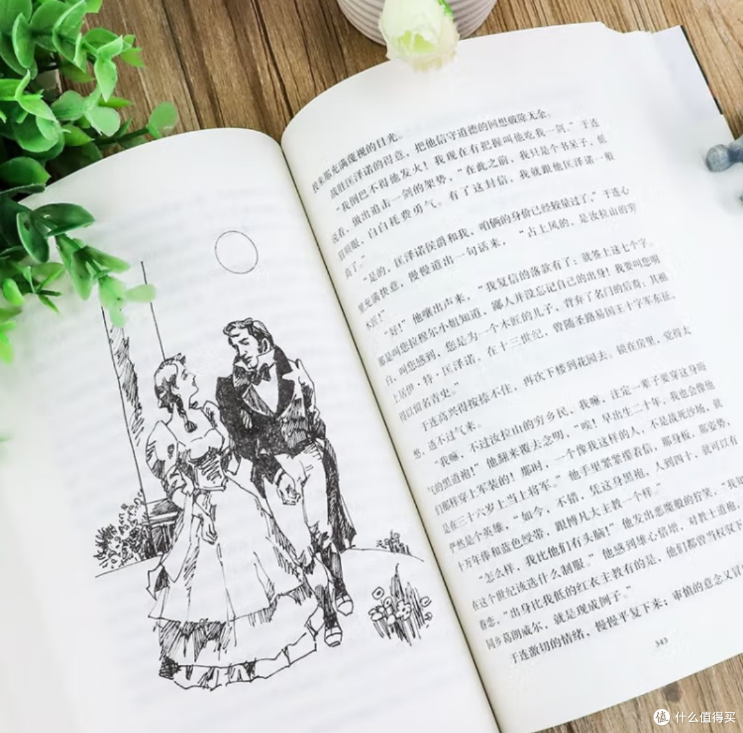 于连的野心：在《红与黑》中窥见人性的复杂与时代的变迁！