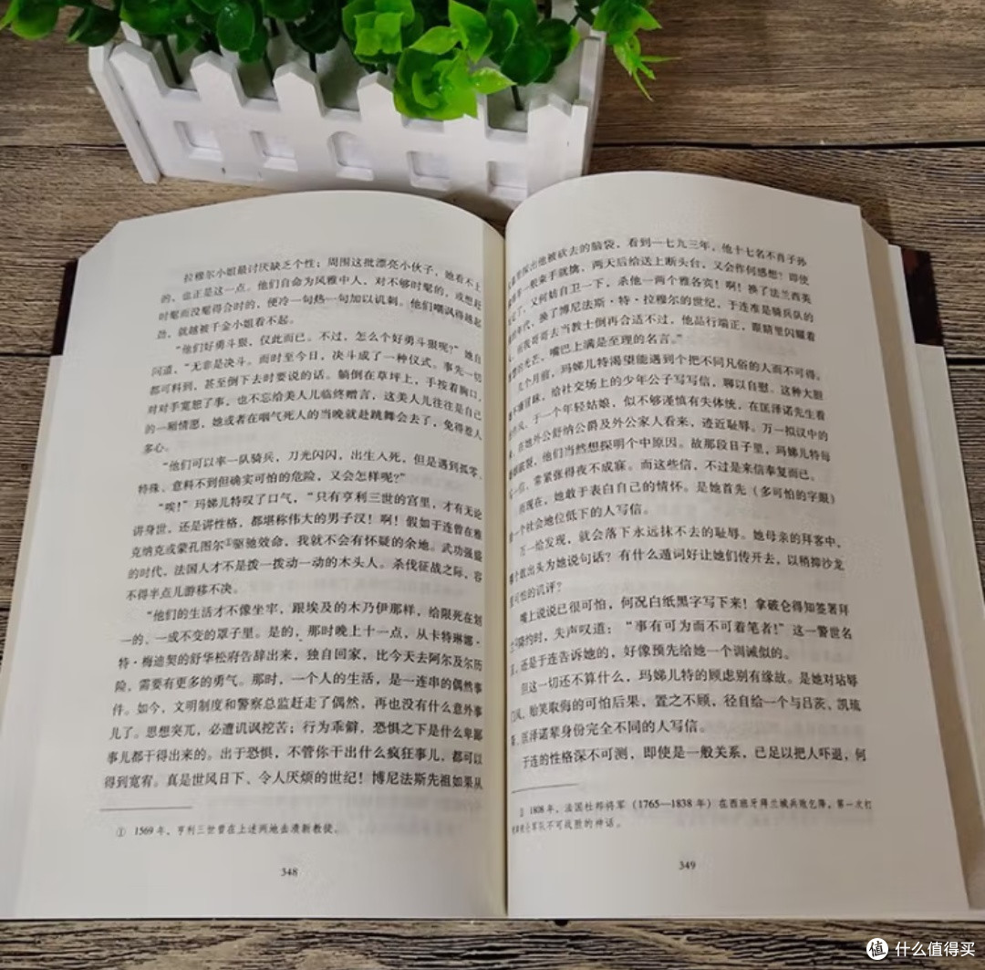 于连的野心：在《红与黑》中窥见人性的复杂与时代的变迁！