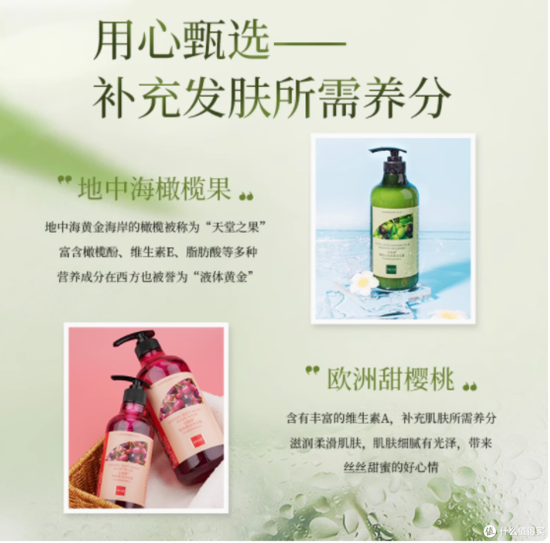 仙维娜橄榄洗发沐浴露套装:给你从头到脚的极致呵护