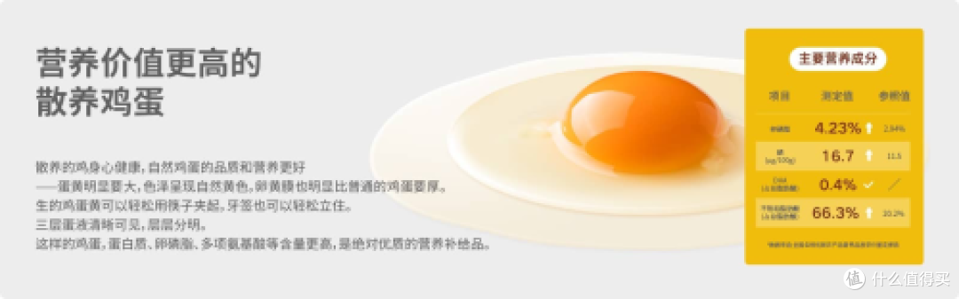 非笼养鸡蛋崛起破解土鸡蛋市场困局，四川信德引领产业升级新潮流