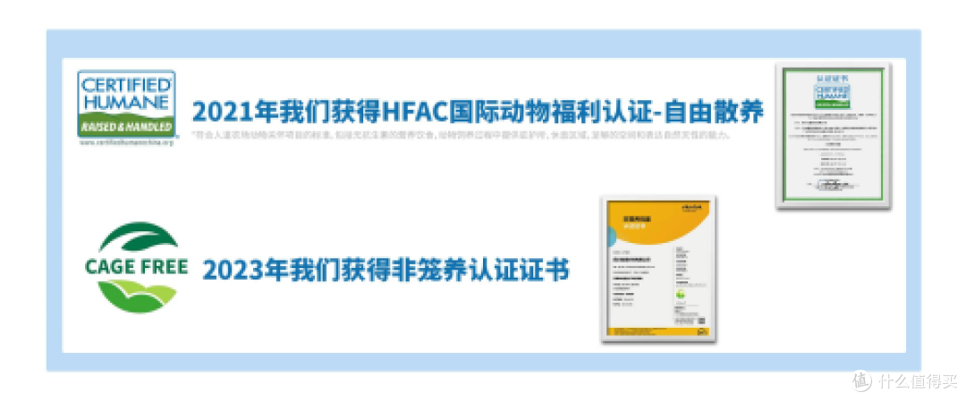 非笼养鸡蛋崛起破解土鸡蛋市场困局，四川信德引领产业升级新潮流
