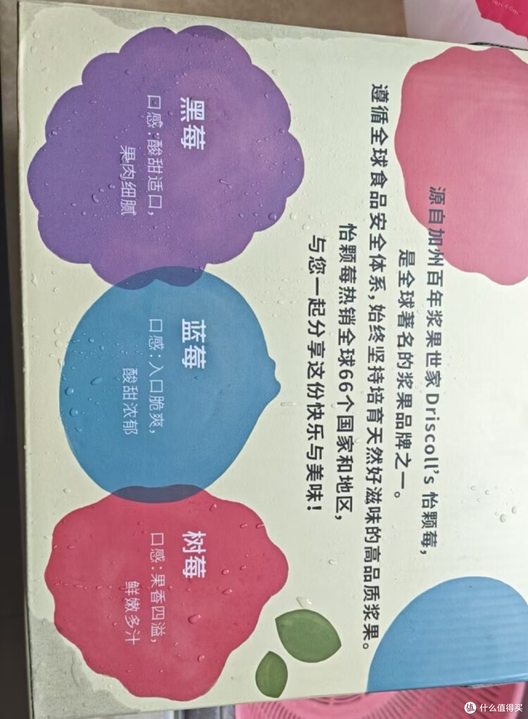 怡颗莓蓝莓:舌尖上的莓果盛宴