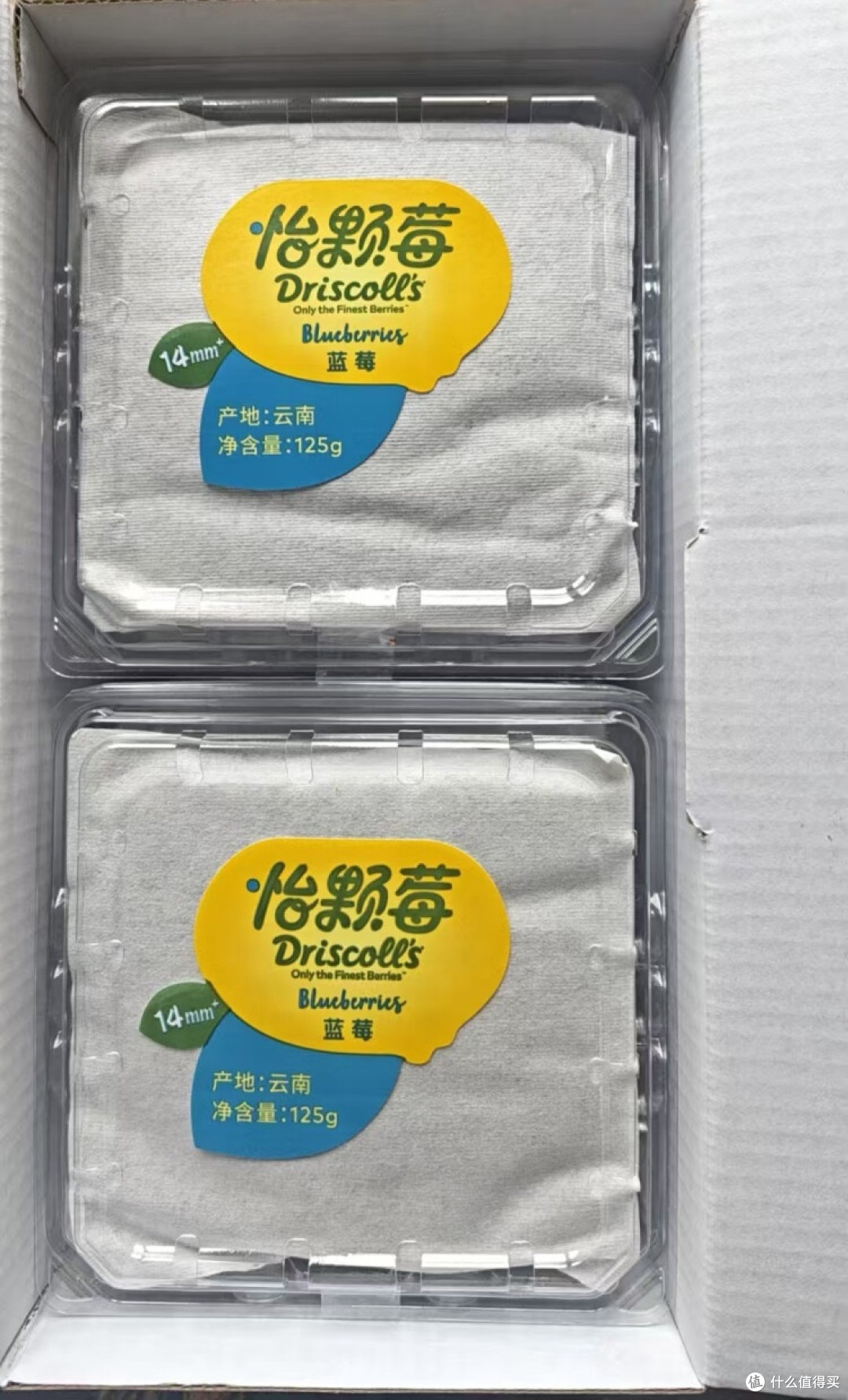 怡颗莓蓝莓:舌尖上的莓果盛宴