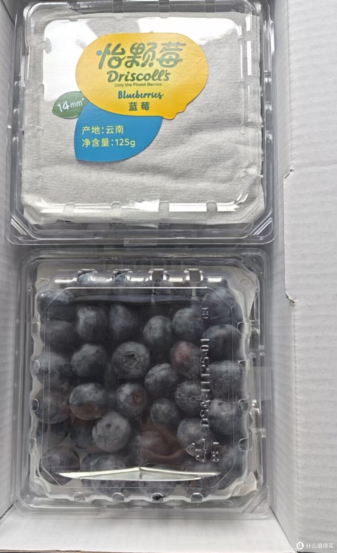 怡颗莓蓝莓：舌尖上的莓果盛宴

 