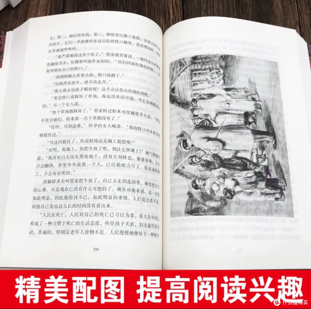灵魂的救赎之旅:《复活》的深刻启示与永恒价值!