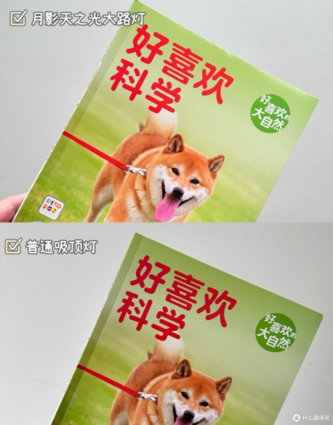 儿童护眼科普：为什么专业人士都在推荐「全光谱 + 大路灯」组合