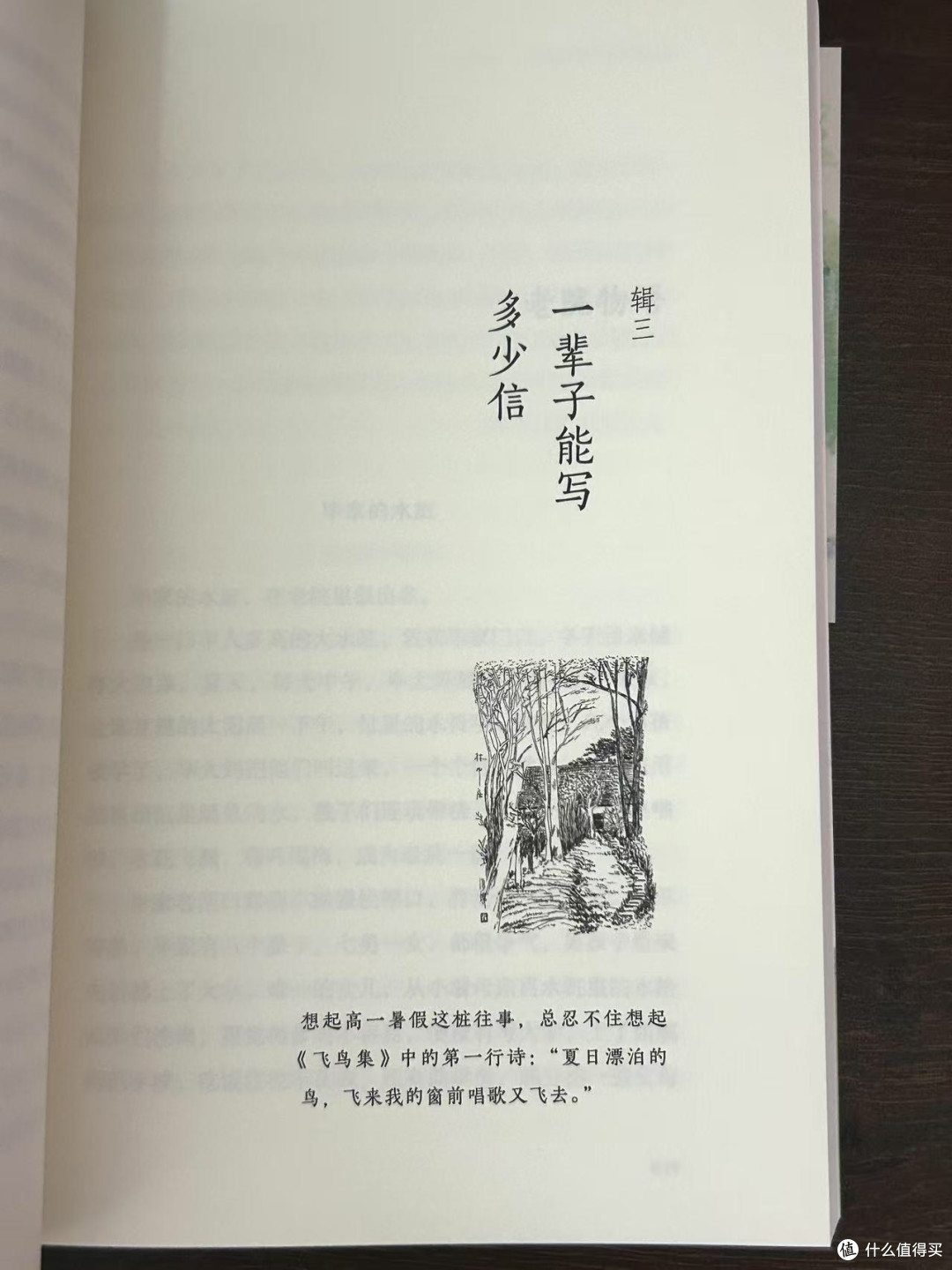 “拒绝内耗，享受当下。”