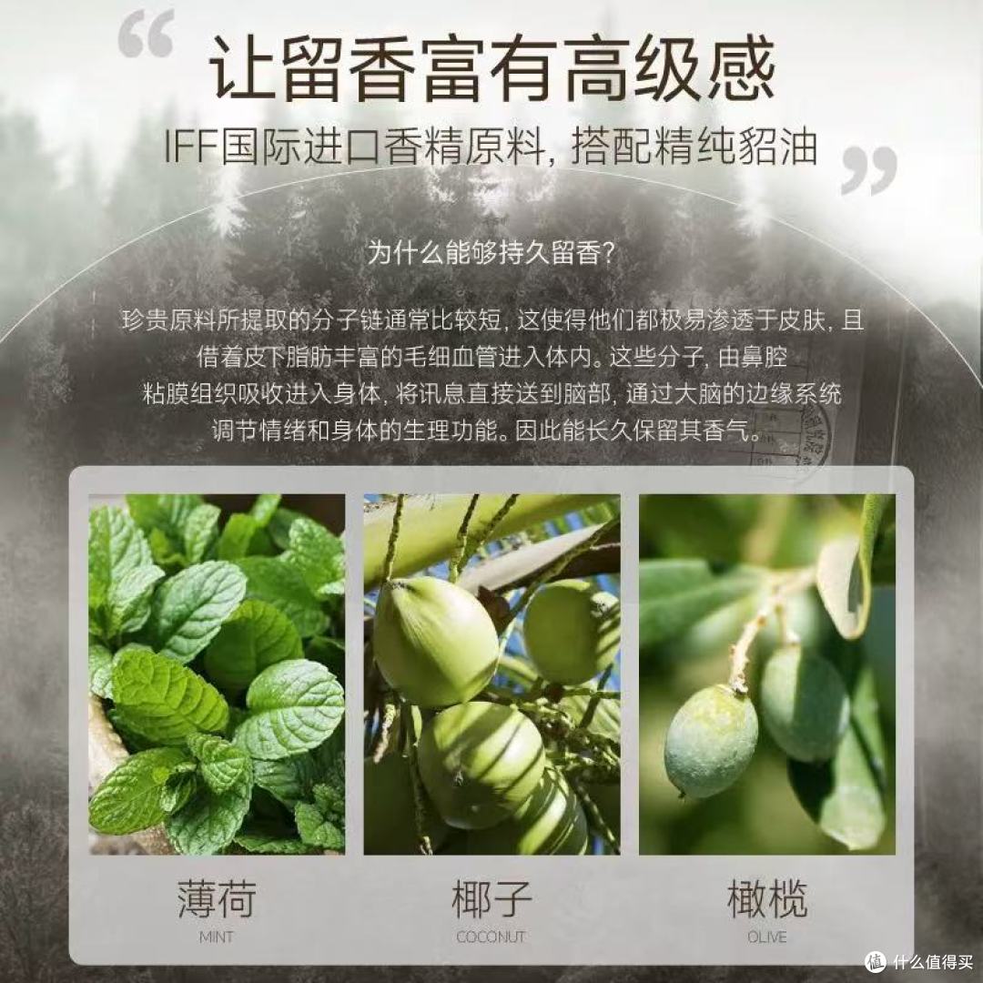 雪貂留香狗狗沐浴露:宠物清洁的理想之选