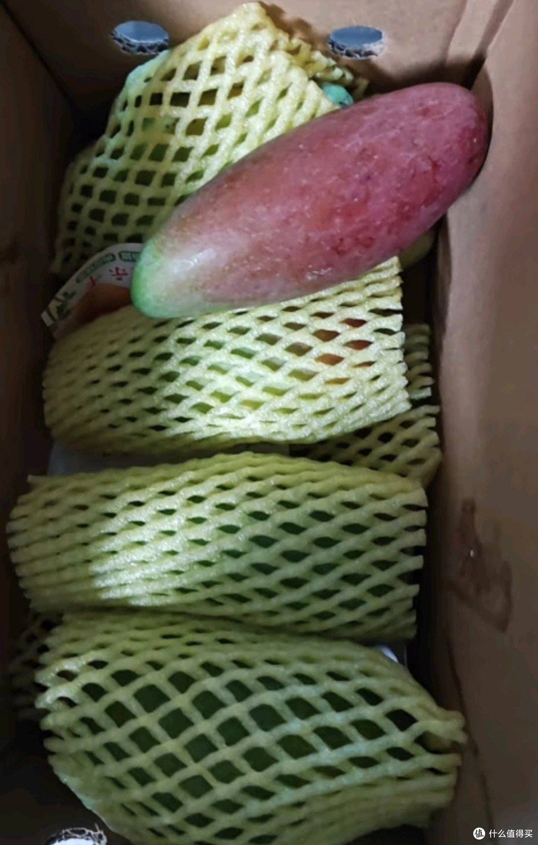 品味海南贵妃芒的独特魅力