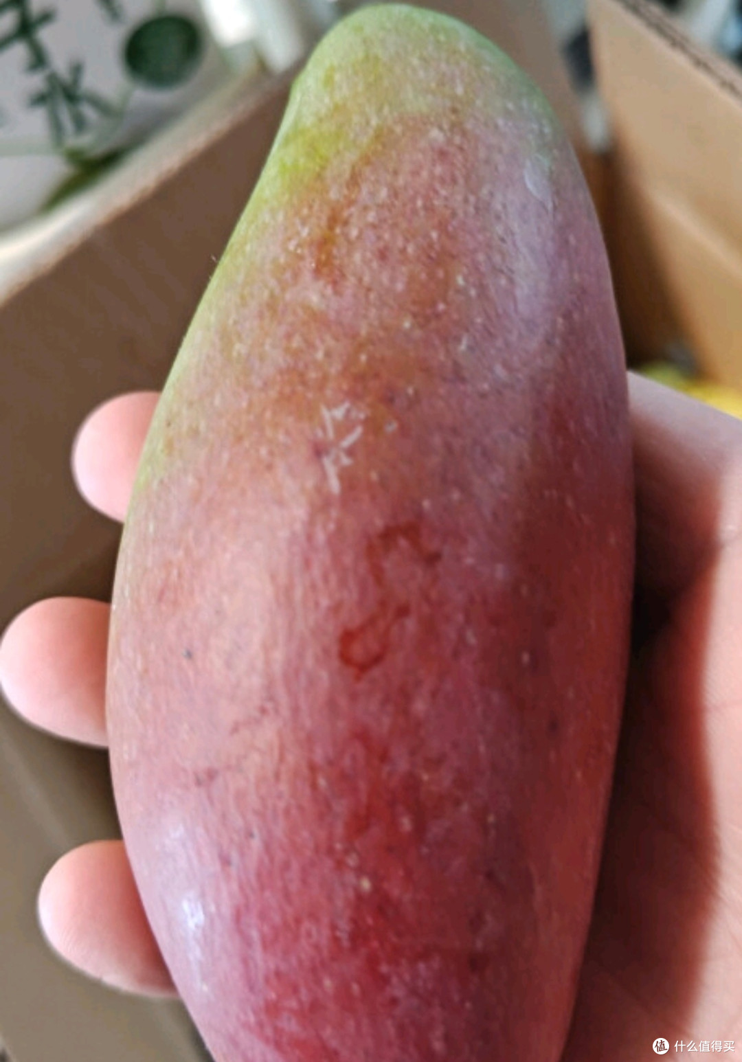 品味海南贵妃芒的独特魅力