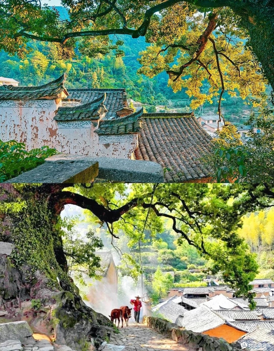 适合五月出行的6个旅行地,无需攻略,说走就走!
