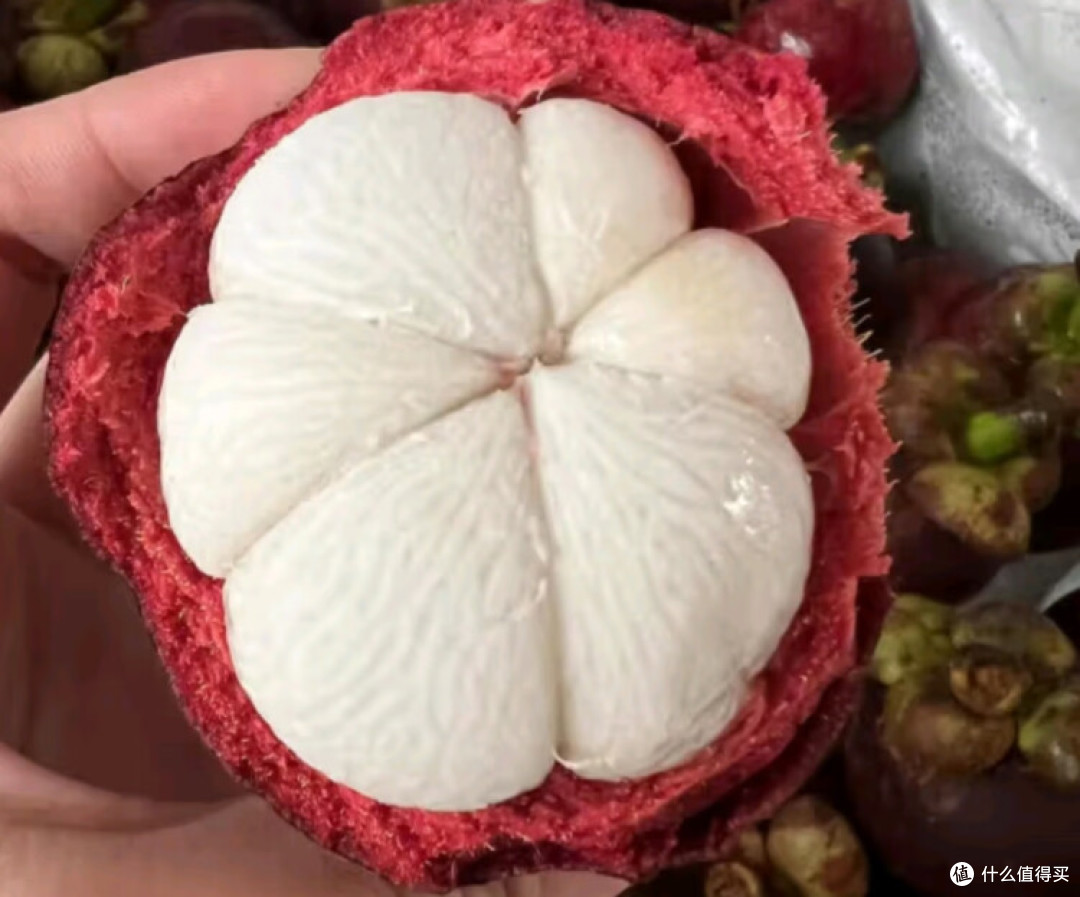 春天多吃点山竹