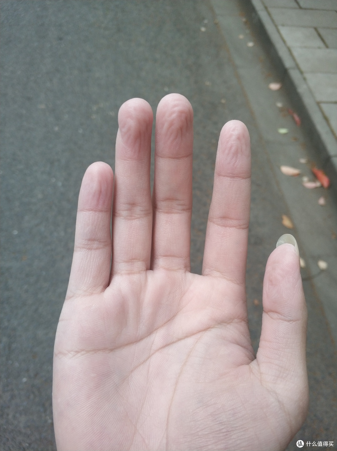 手都泡的这样了！