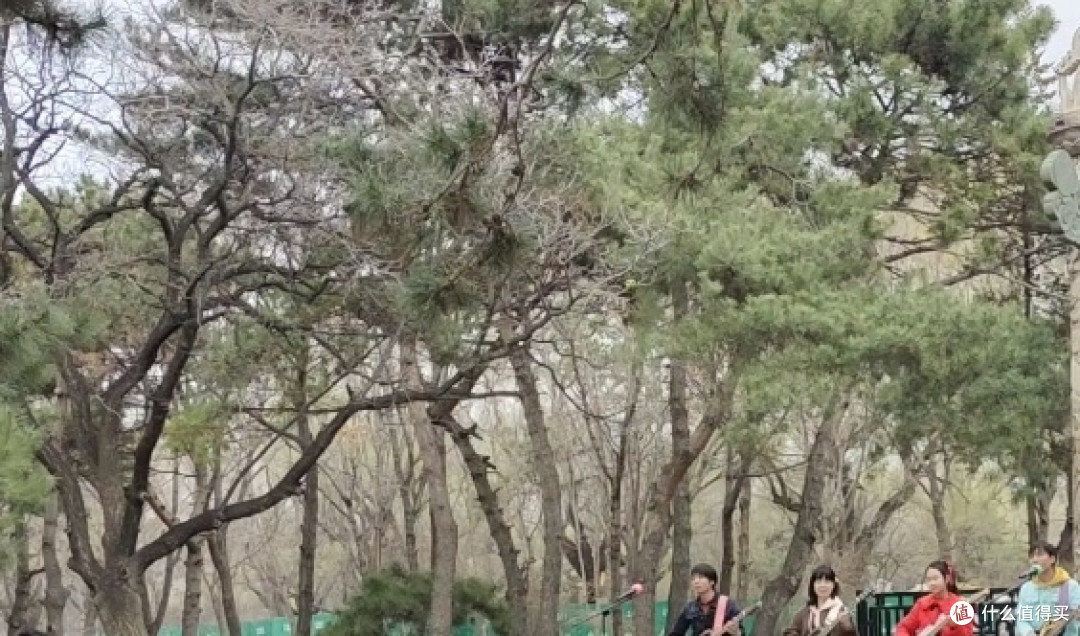 家庭野营乐趣与装备推荐