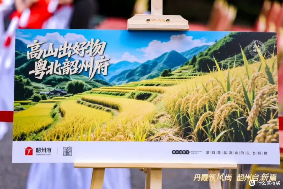 从“卖资源”到“卖体验”:设计创新如何“解锁”韶关农文旅融合