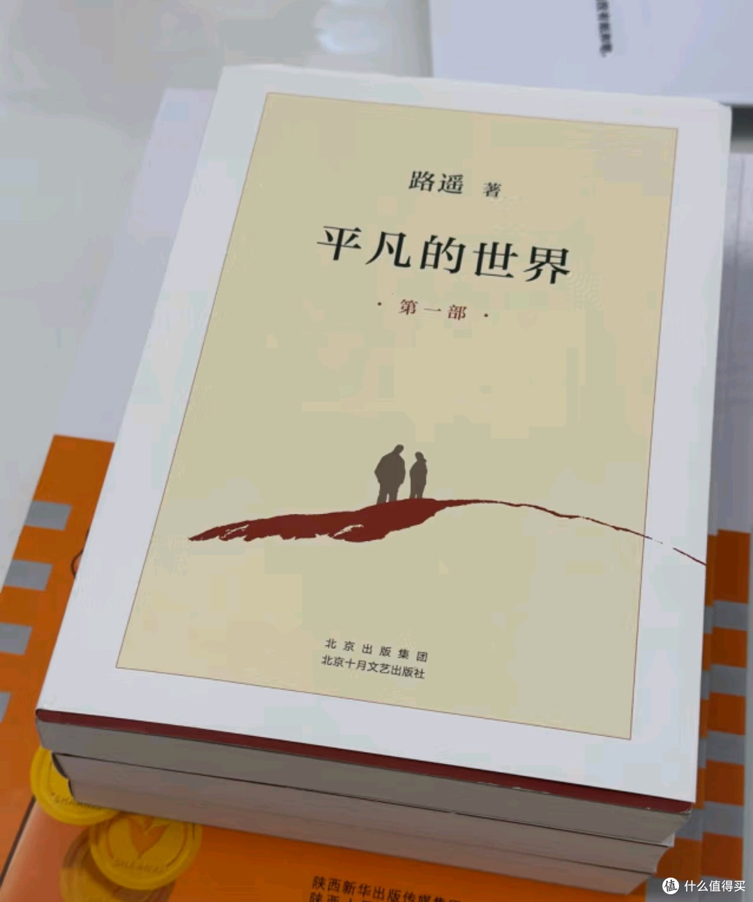 书架上的星辰:我与《平凡的世界》