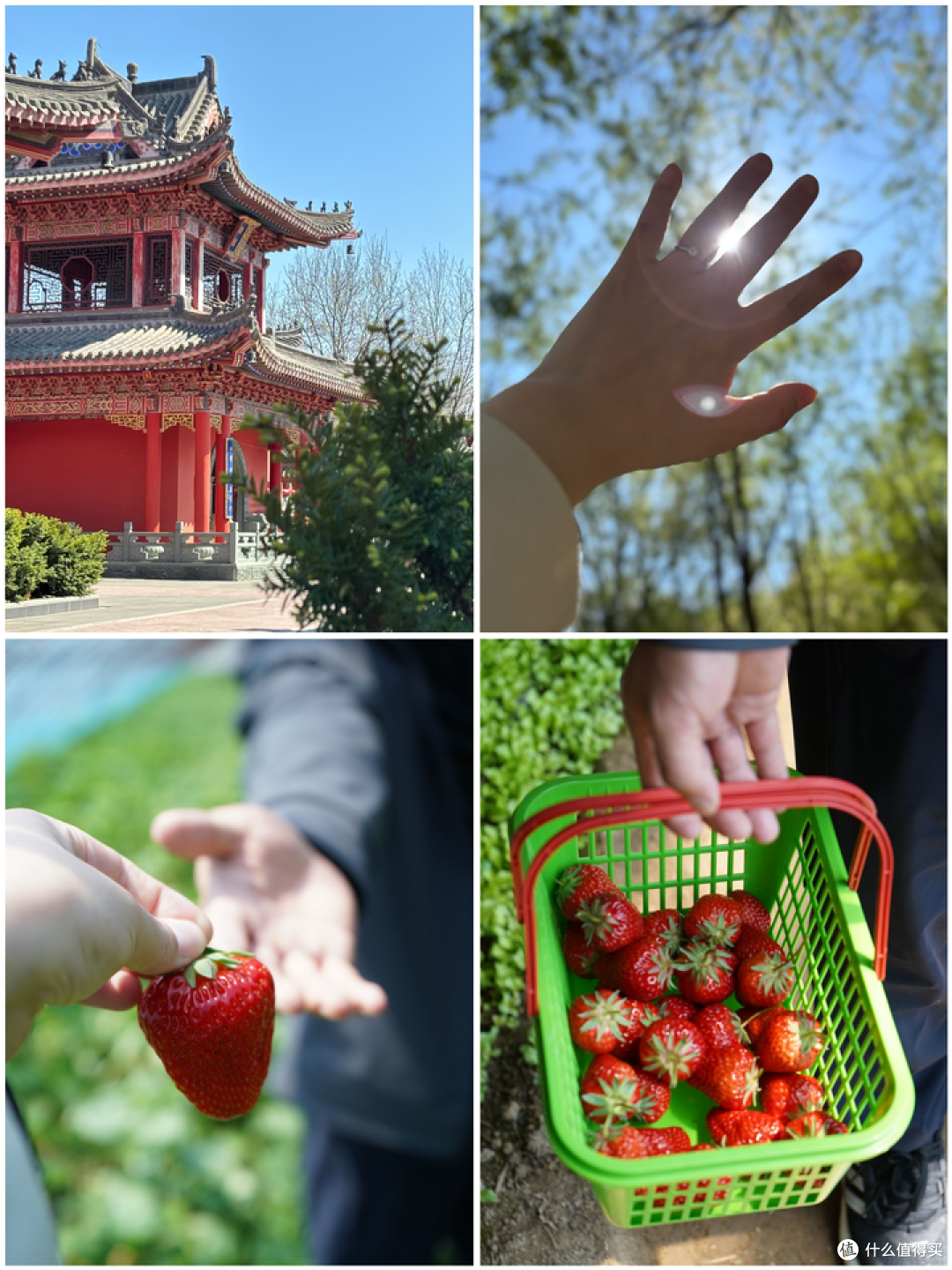 （郊区逛吃一天，玩的超开心！）