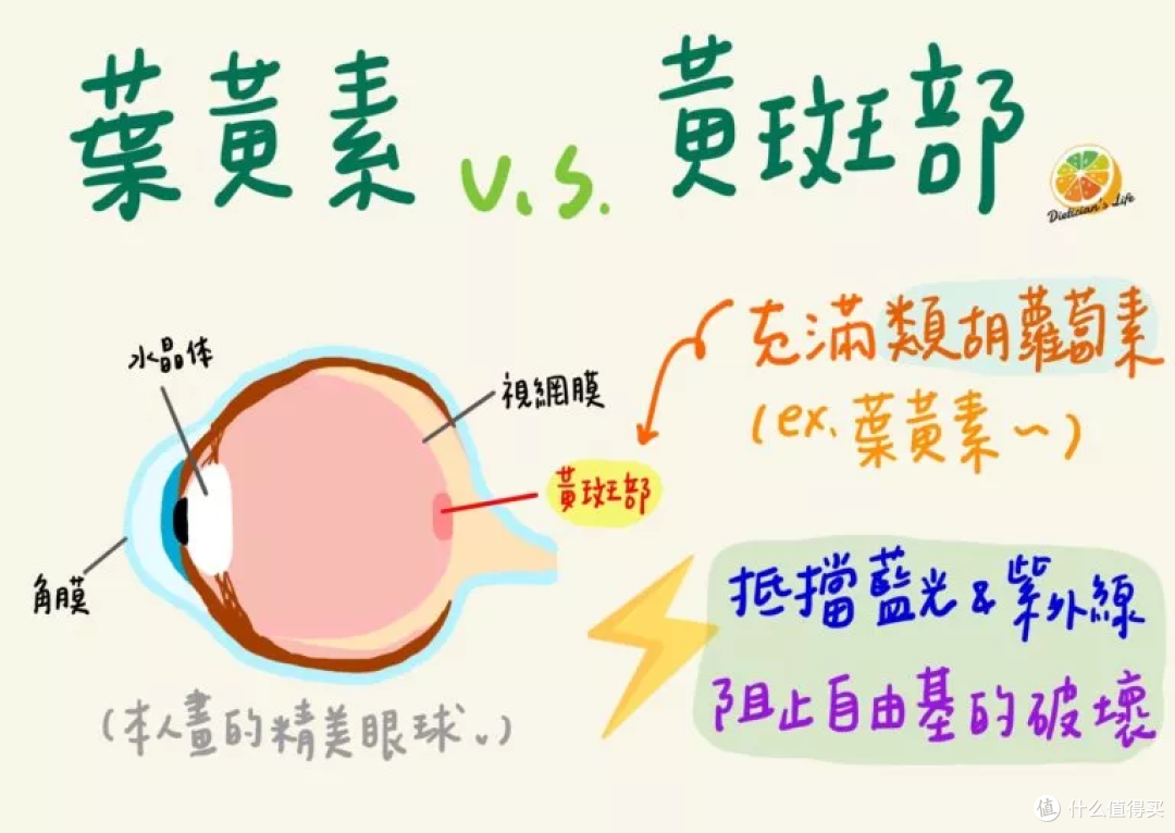 宝妈必看!儿童叶黄素怎么选?2025 年口碑好物清单来了