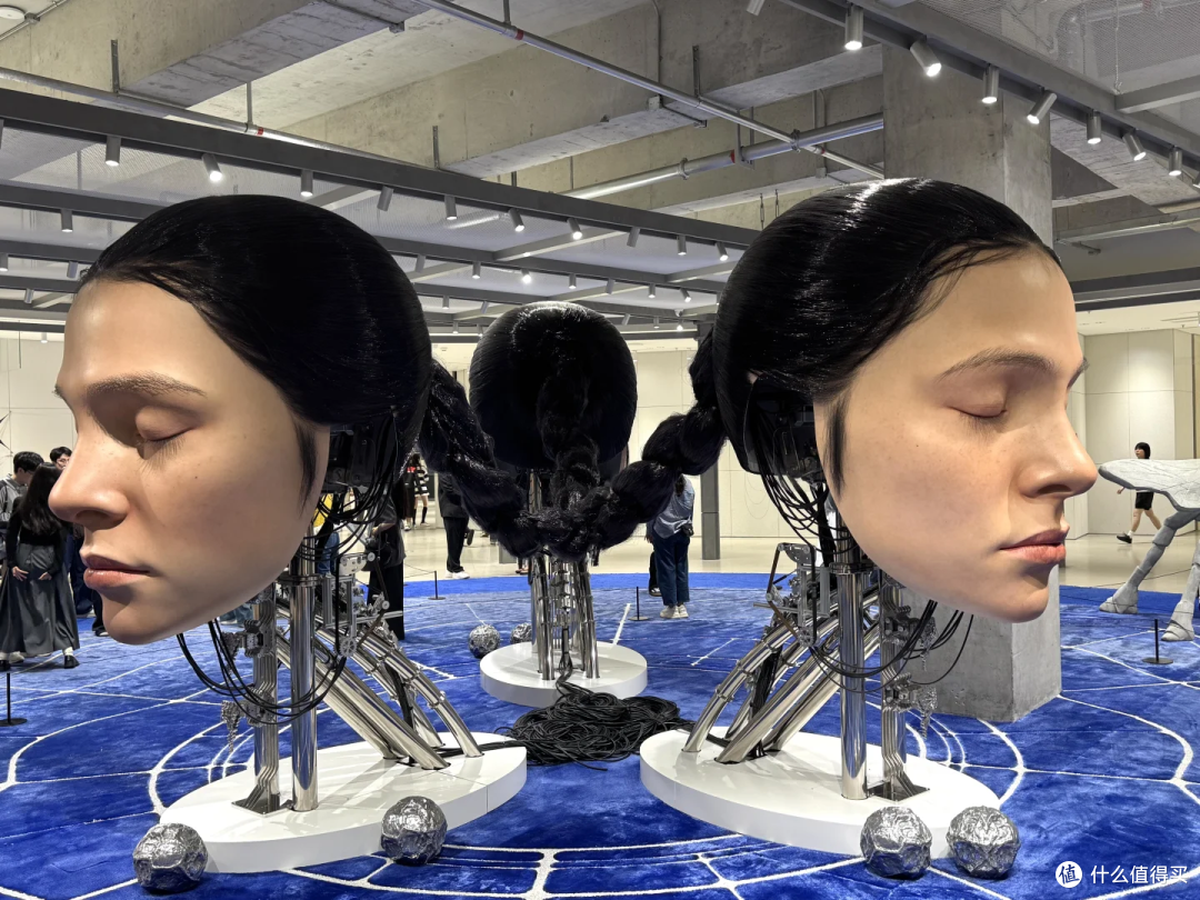 五一去深圳巨人展,遛娃好去处