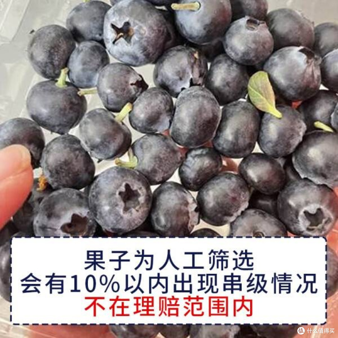 京鲜生云南蓝莓，高原的新鲜选择