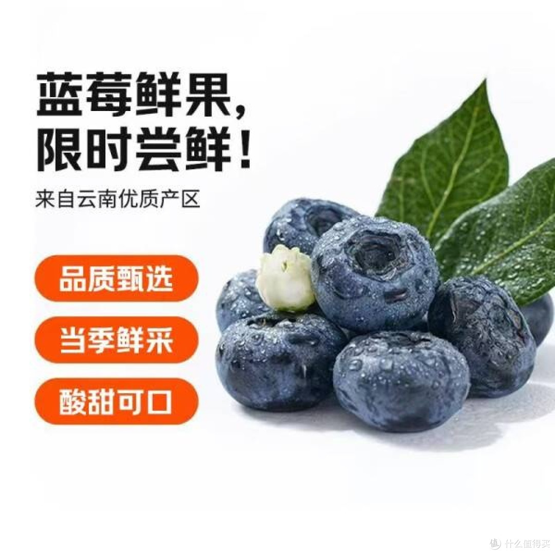 京鲜生云南蓝莓，高原的新鲜选择