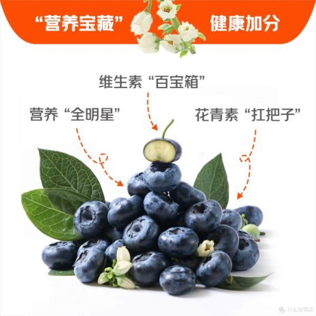 京鲜生云南蓝莓，高原的新鲜选择