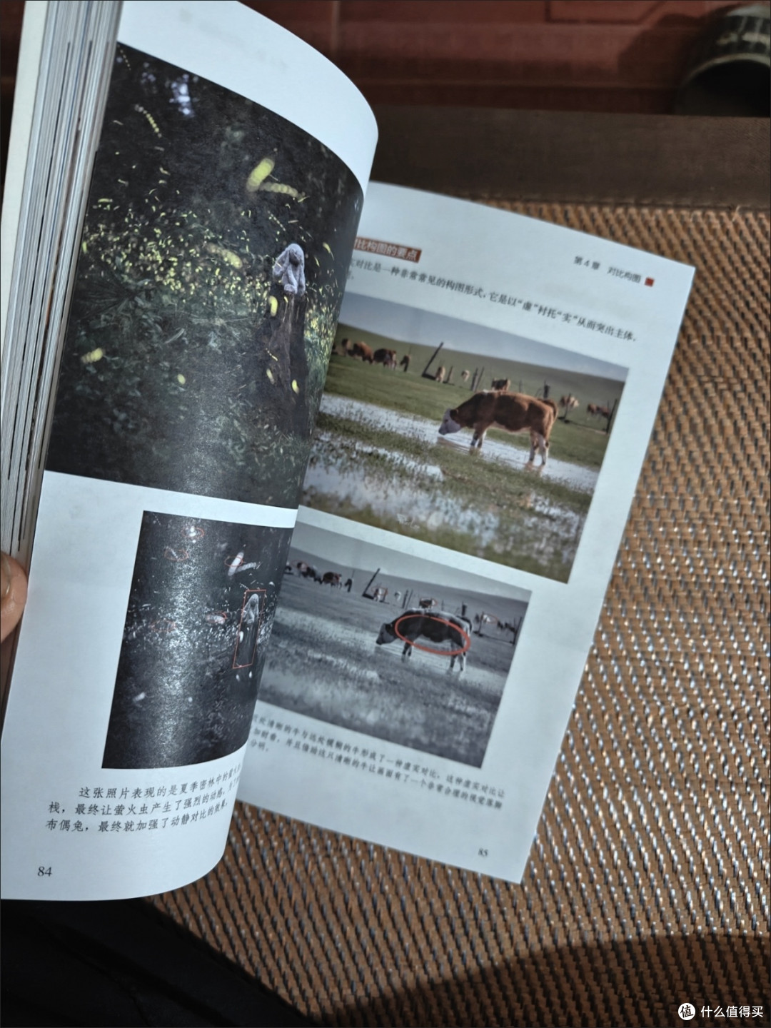 轻松入门摄影！《摄影构图零基础入门教程》让你秒变拍摄达人