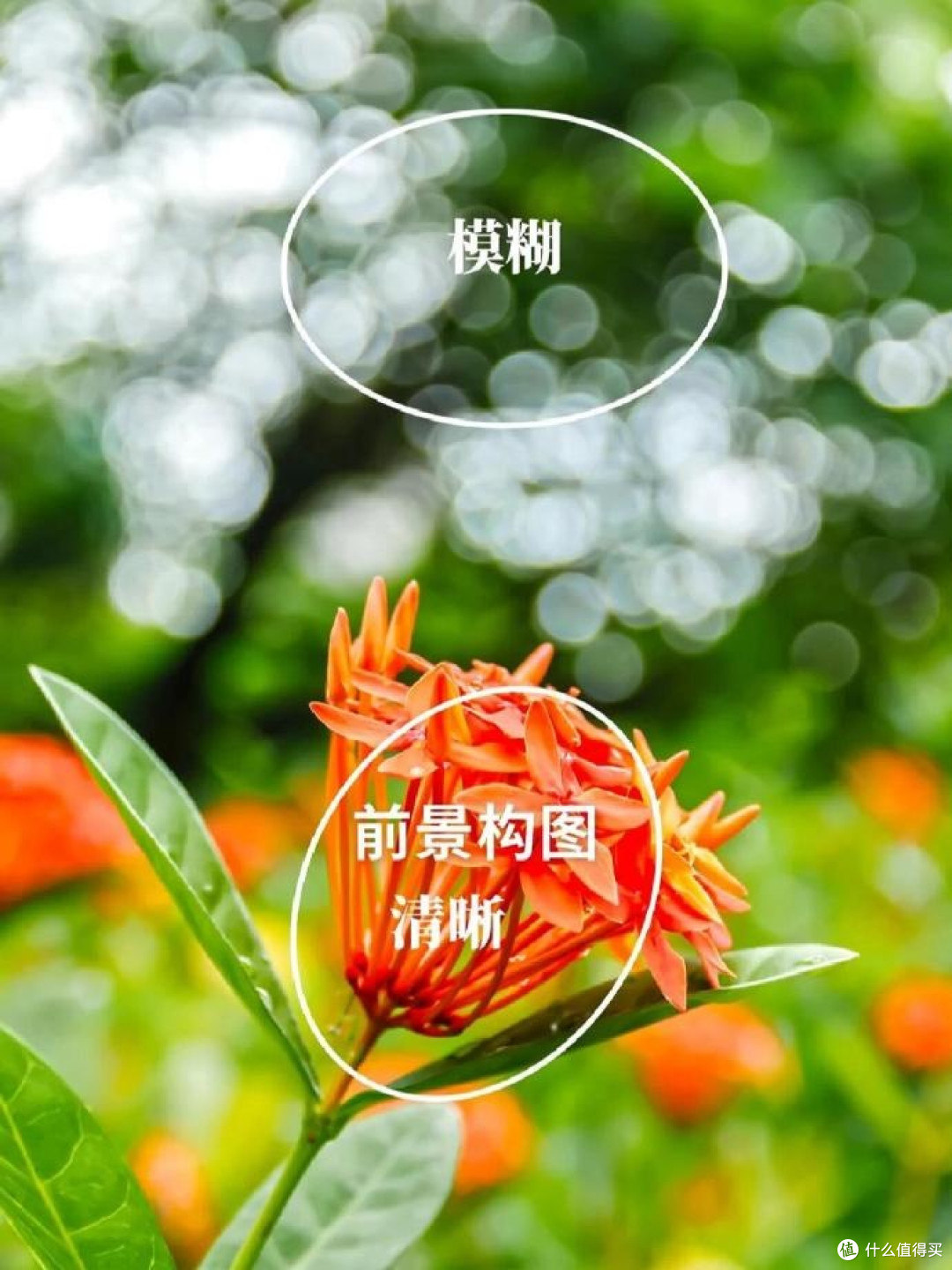 手机摄影构图秘籍:5 招拍出专业级大片