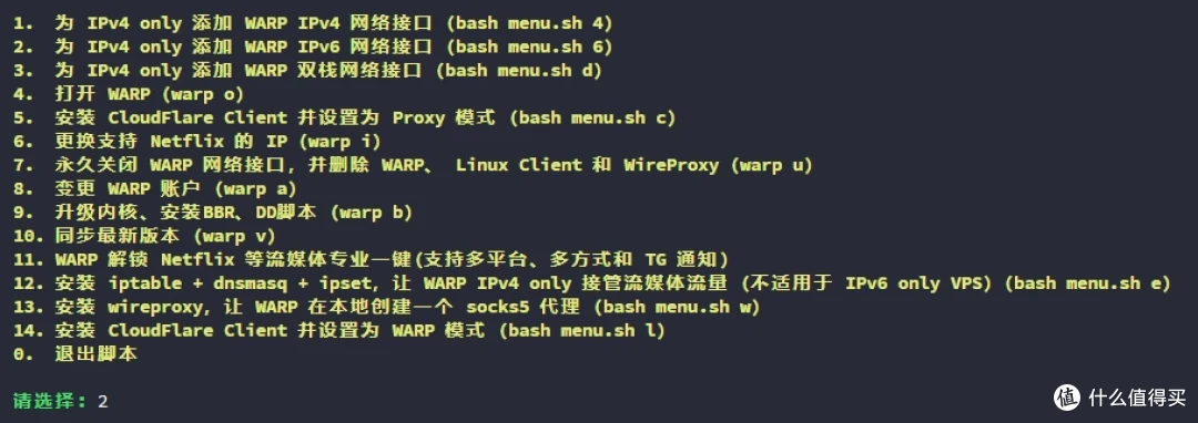 IPv4 Only