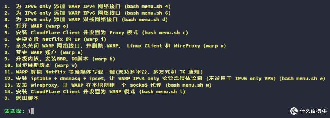 IPv6 Only