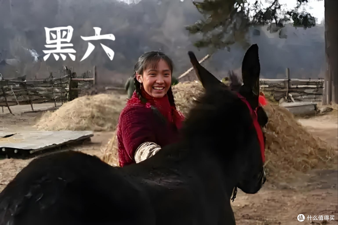 电影《走着瞧》人驴情未了:笑到肚子疼