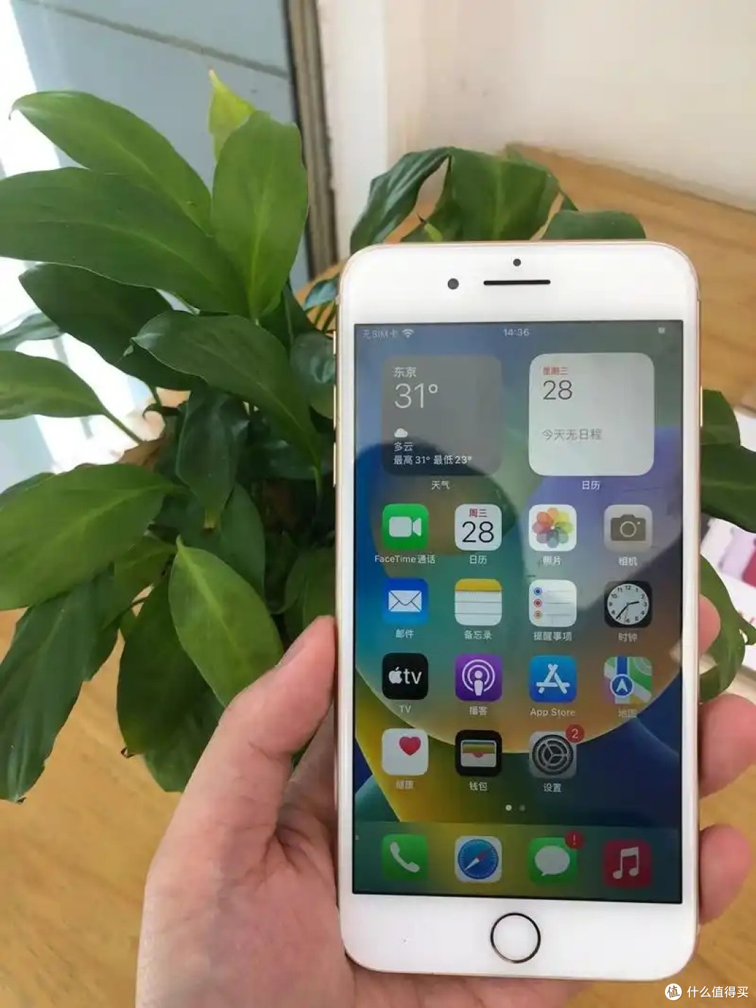 贴心伴侣:iPhone 8 Plus手机使用测评