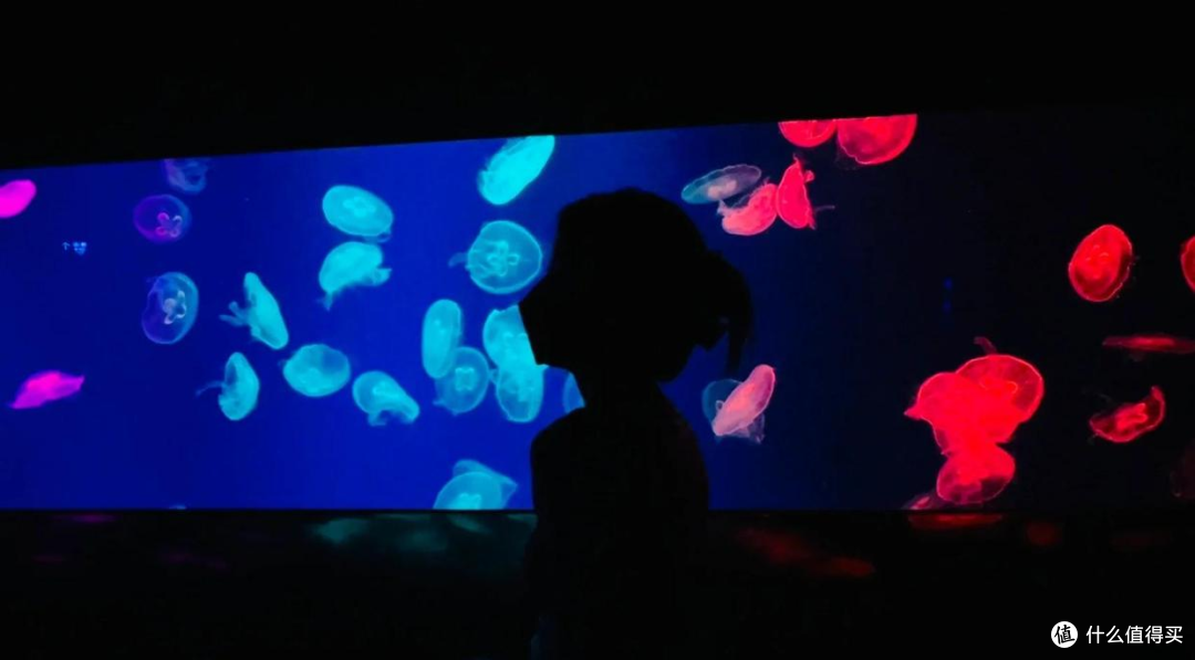 浩海立方海洋世界五一新装备:自动讲解耳机,开启智慧海洋之旅