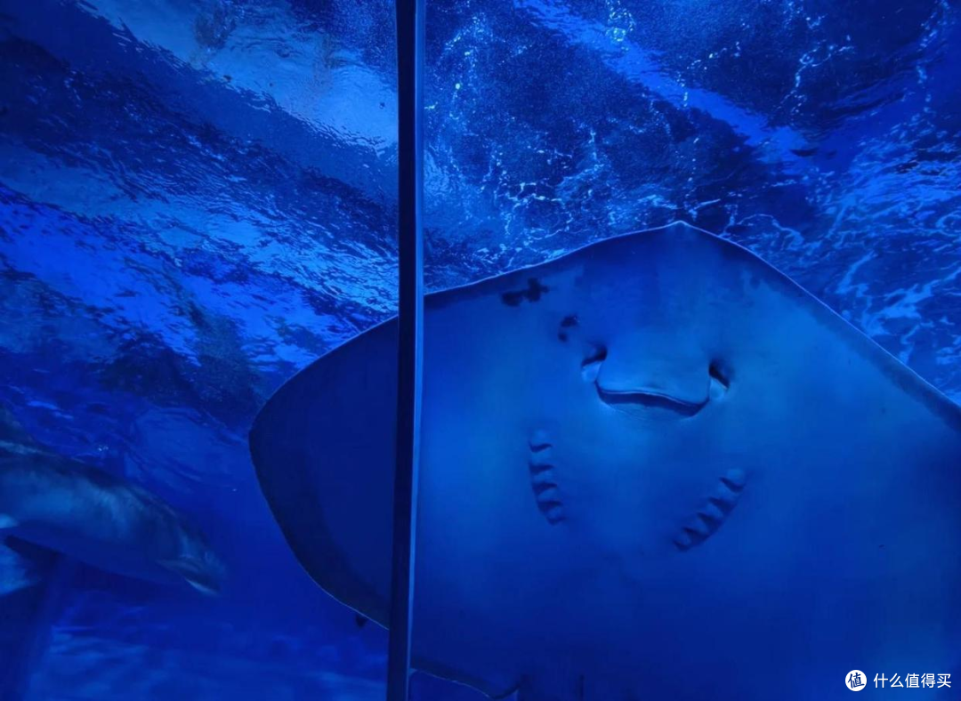 浩海立方海洋世界五一新装备:自动讲解耳机,开启智慧海洋之旅