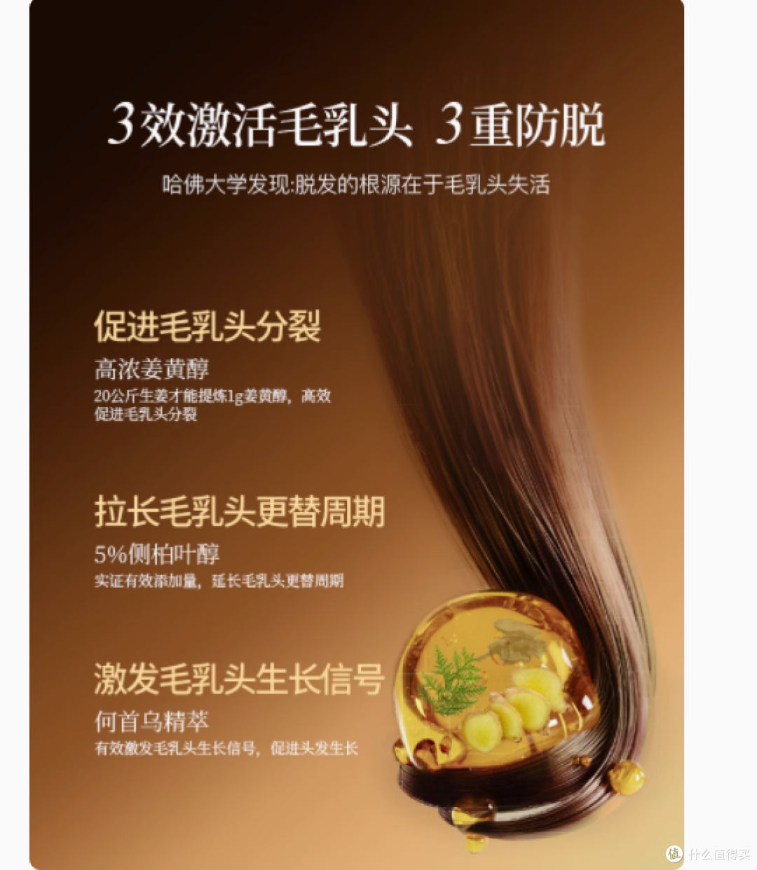 解锁丰盈秀发秘籍——aGEsa洗发水侧柏叶何首乌生姜育发500ML