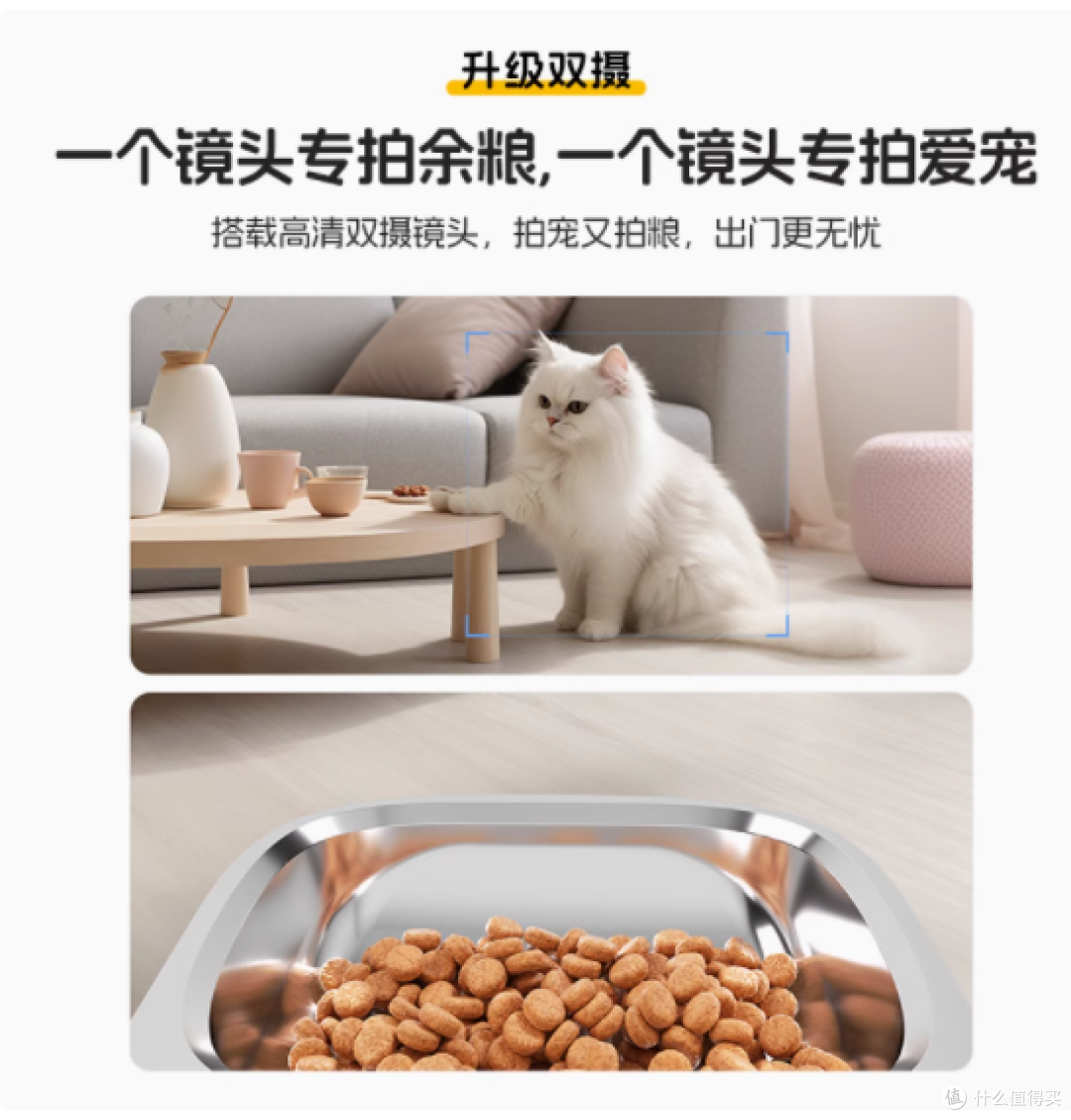 玲珑猫旗舰店:宠物智能自动喂食器——爱宠的贴心守护者