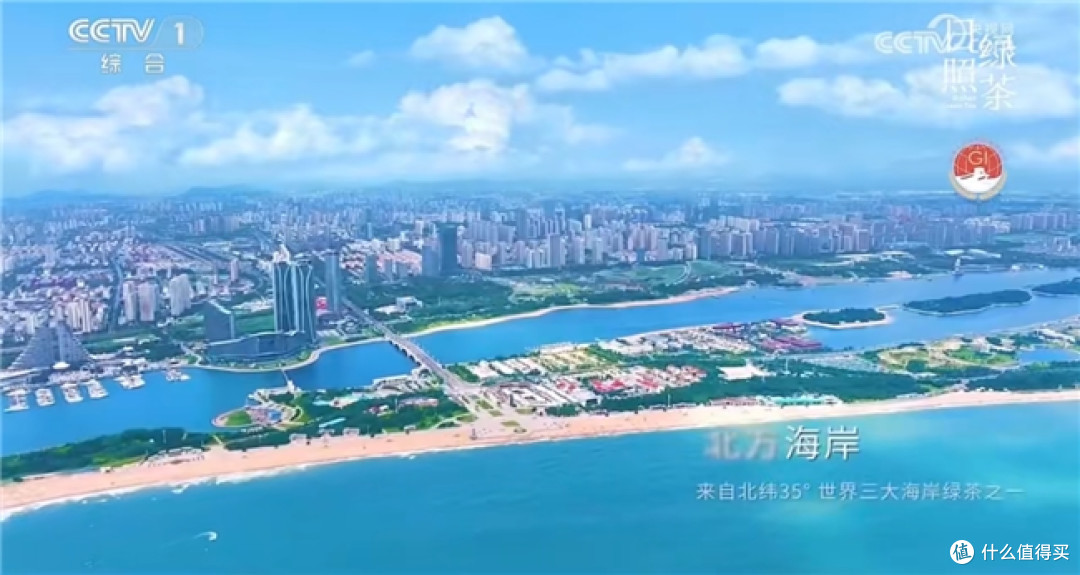 日照绿茶香飘央视舞台:一杯绿茶里的匠心与山海情怀