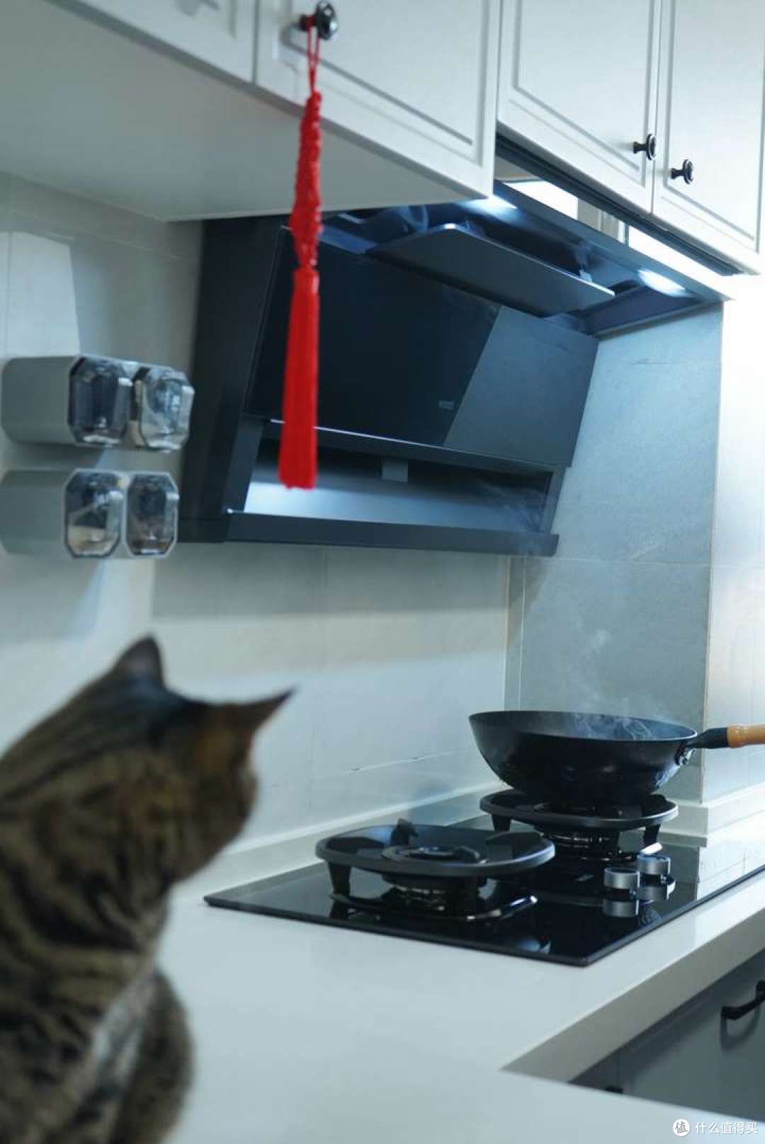 （吸烟效果足够好的缘故，炒菜时猫猫都来凑热闹了）