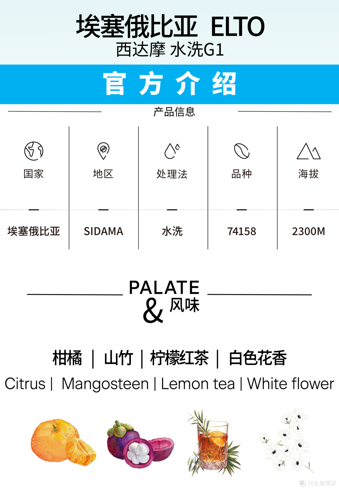 外行手冲咖啡P005：MCR微焙西达摩ELTO 74158 G1 水洗浅烘_咖啡豆_什么值得买