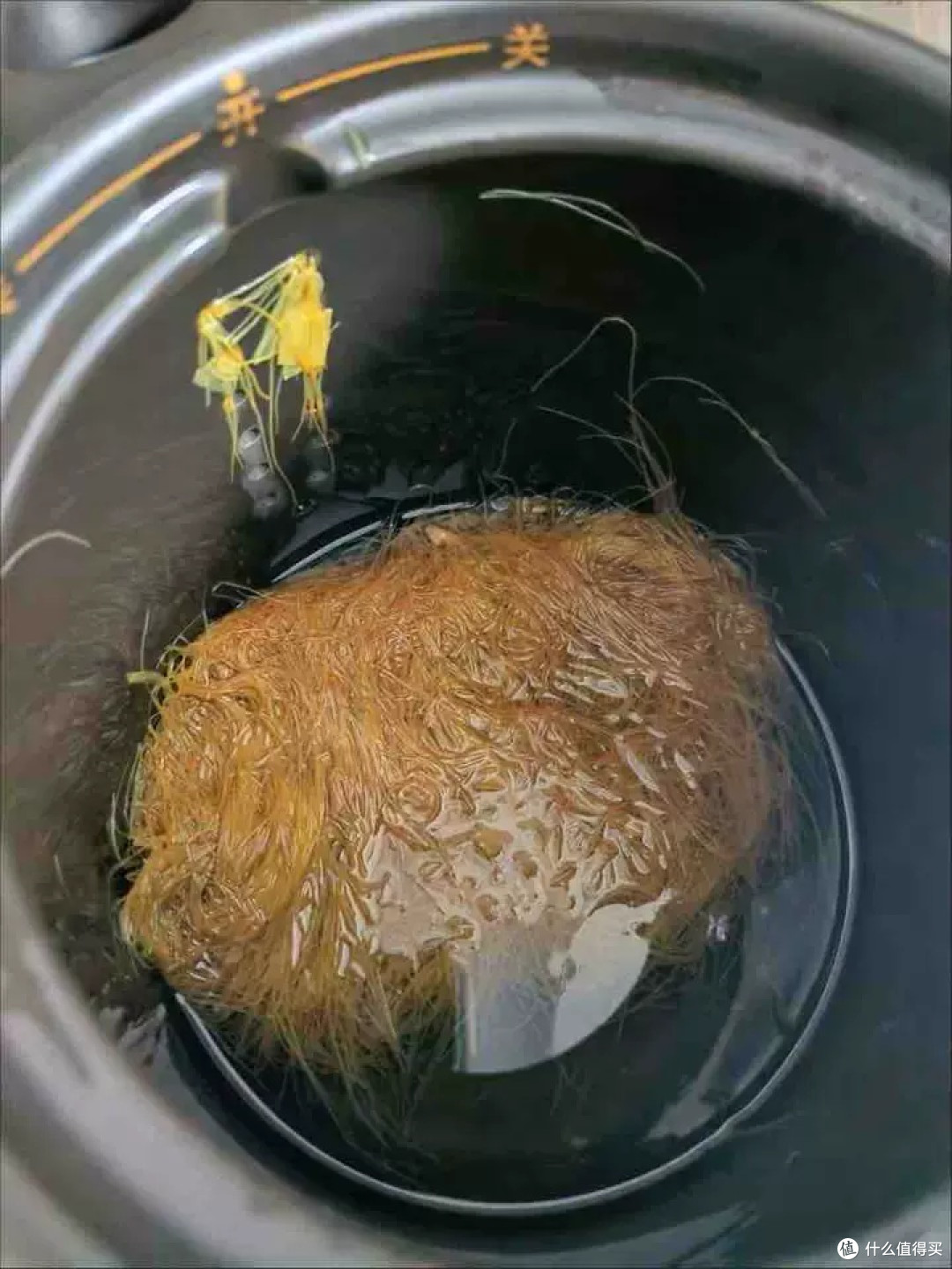 当季新鲜玉米笋:清甜鲜嫩的煲汤好食材