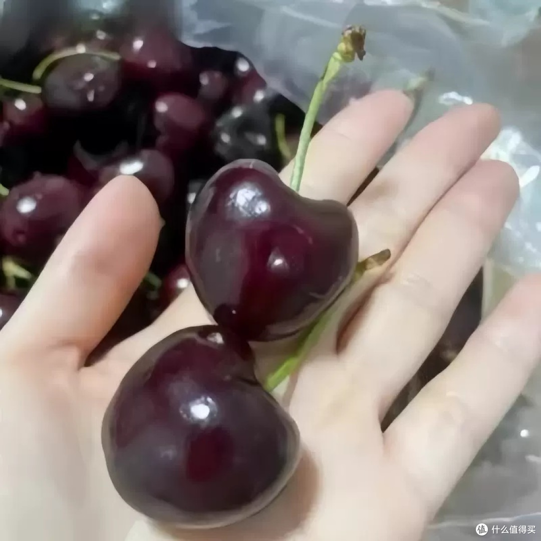 山东大樱桃美早：当季脆甜的国货之光