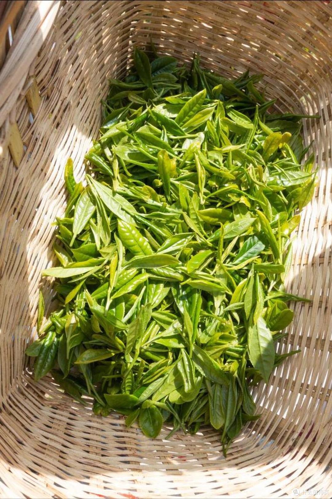 游庐山必带的10大特产,少一个都是遗憾