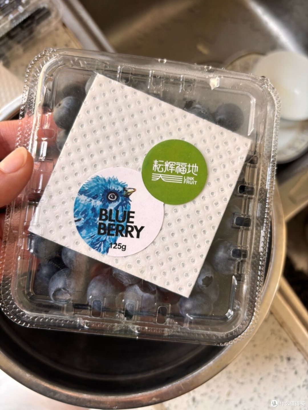 蓝莓开箱：一场舌尖上的深蓝诱惑