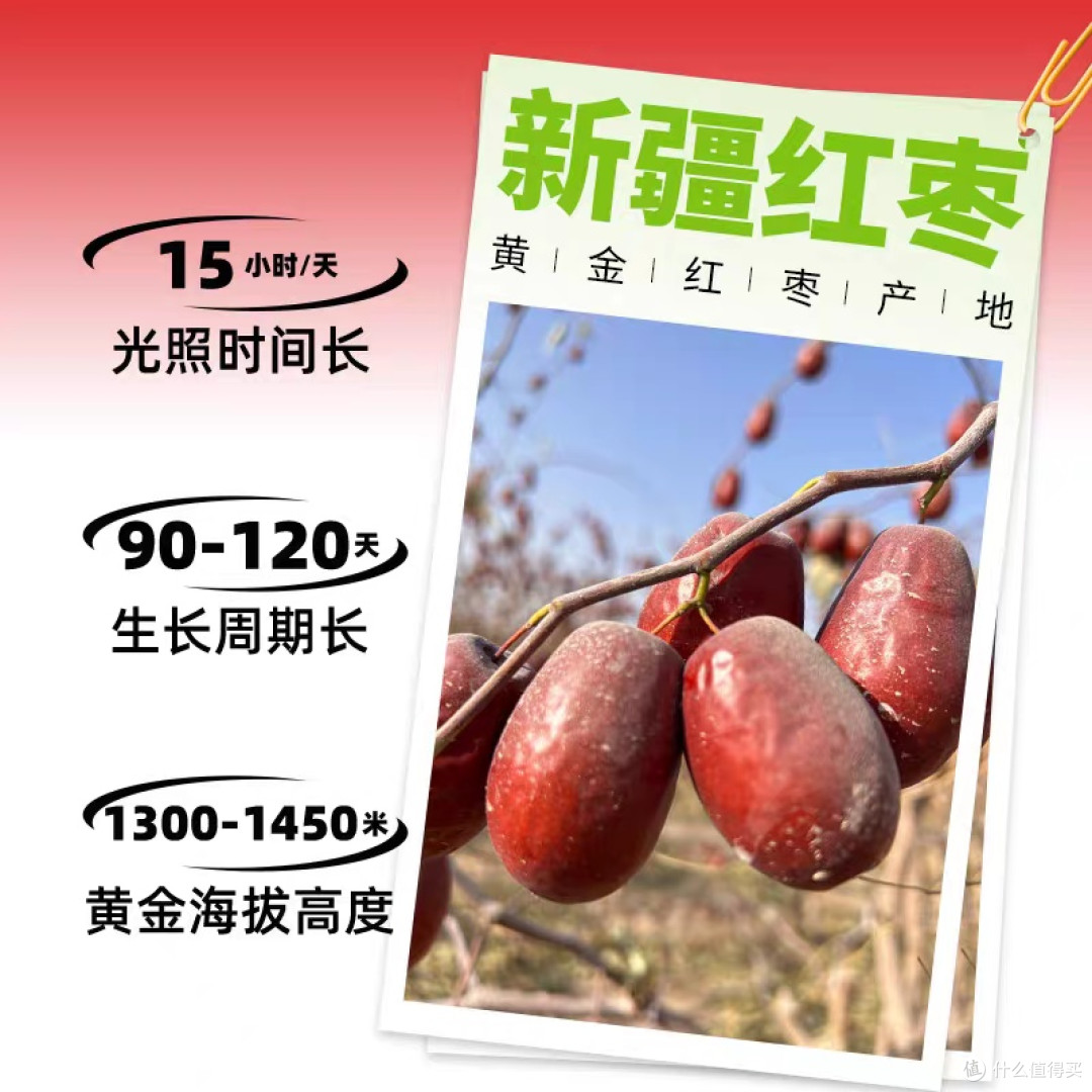 干货选购技巧：观外观