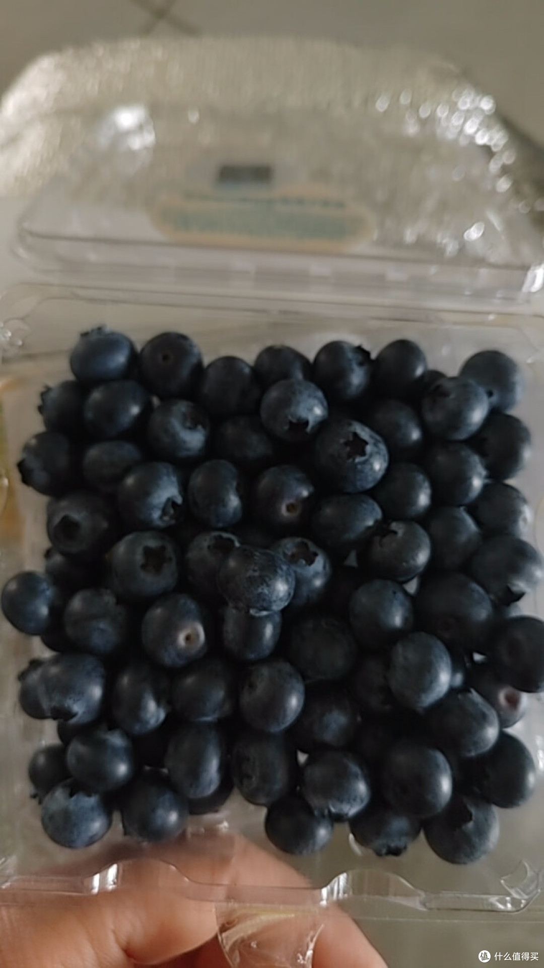 怡颗莓小蓝莓:来自云南的美味馈赠