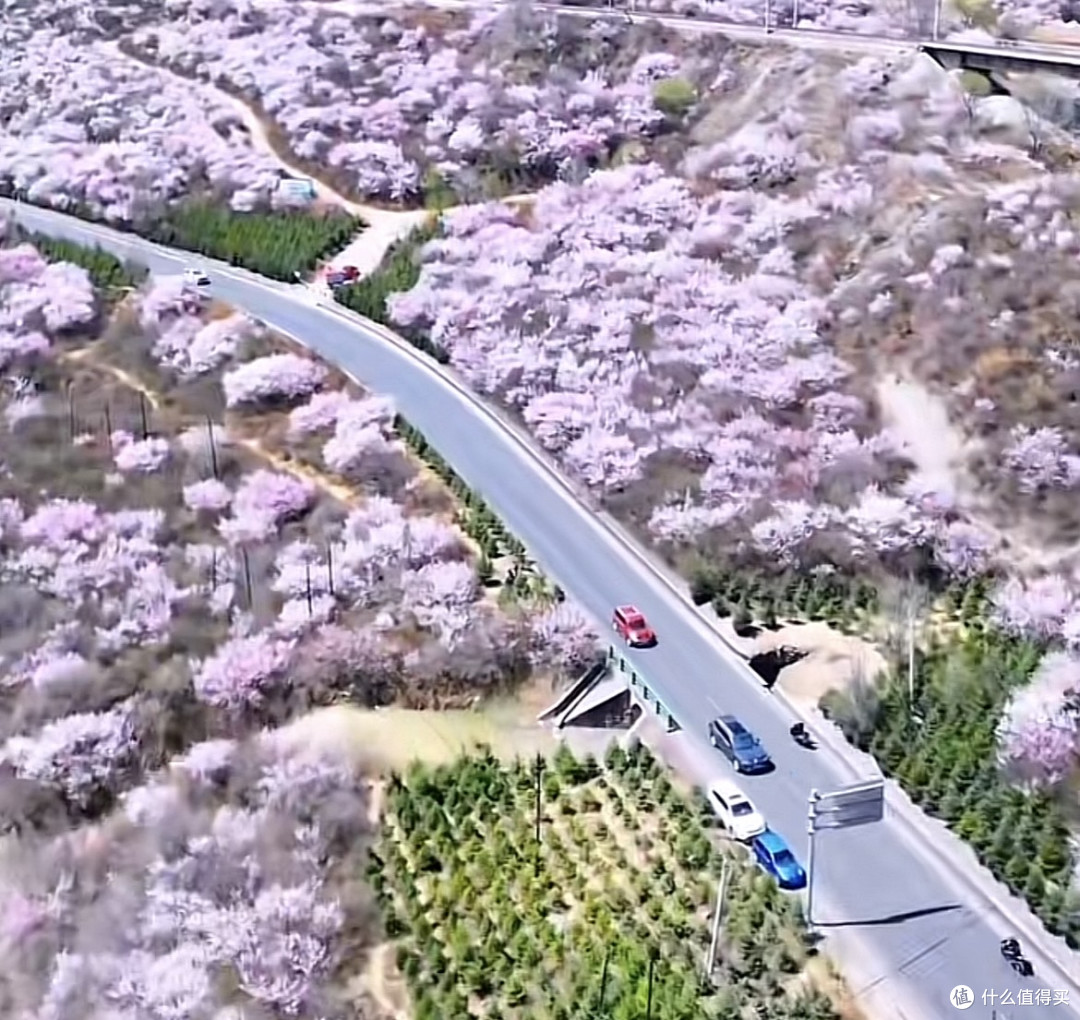 331国道:一条路串联中国最美边境线